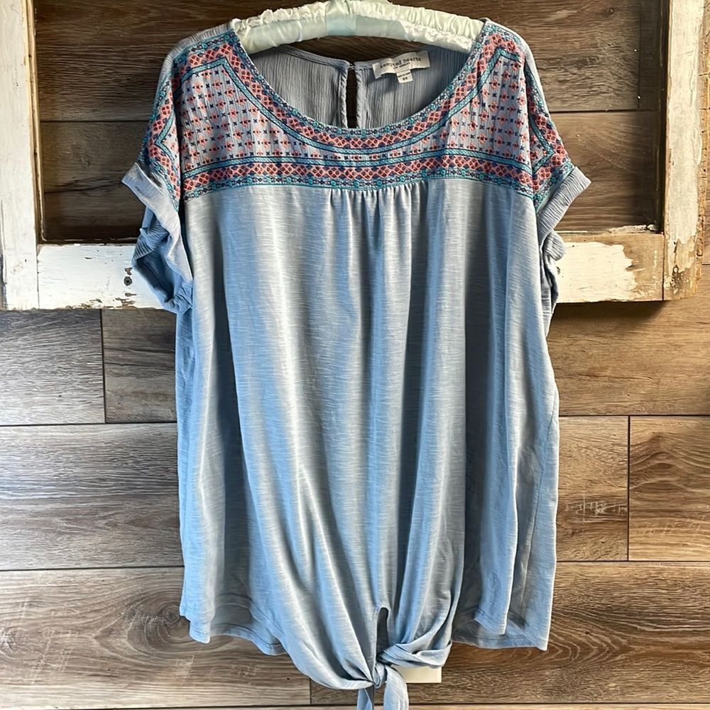 Tempted Heart Woman’s Top, Size 2X, Blue with Colored Embroidery Stitching